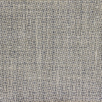 Richloom Kenwood Denim in charleston 2022 Blue Polyester  Blend Geometric   Fabric