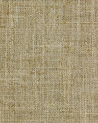 Larsen Chino by  Richloom 