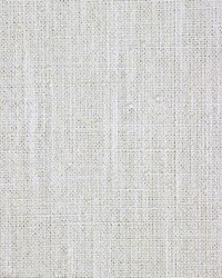 Larsen Glacier by  Richloom 