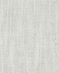 Larsen Ivory by  Richloom 