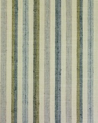 Mottley Moss by  Richloom 