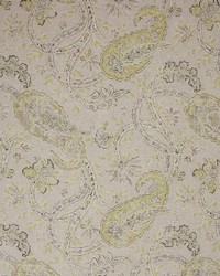 Namaste Chamomile by  Richloom 