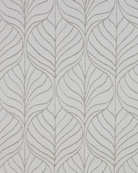 Perspective Birch by   