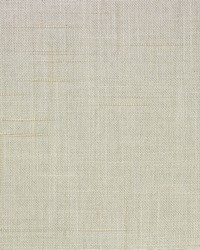 Portofino Birch by  Richloom 