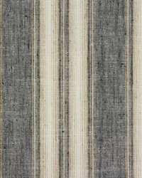 Ridley Graphite by  Richloom 