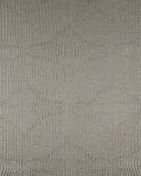 Seaside Grey by  Richloom 