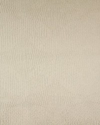 Seaside Ivory by  Richloom 