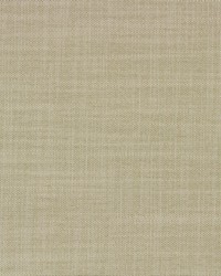 Sonnet Sand by  Richloom 