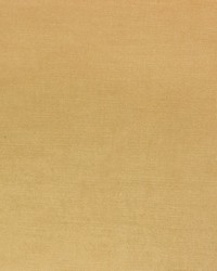 Vivoli Camel by  Richloom 