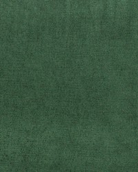 Vivoli Kale by  Richloom 