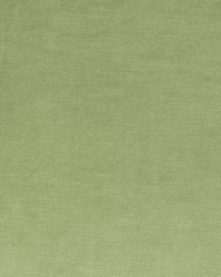 Vivoli Leaf by  Richloom 