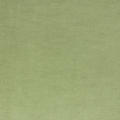 Richloom Vivoli Leaf in charleston 2022 Green Polyester