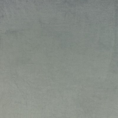 Richloom Vivoli Lichen in charleston 2022 Green Polyester