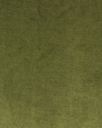 Vivoli Moss by  Richloom 