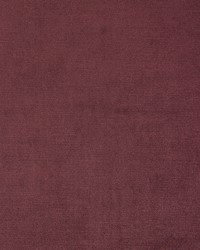 VIVOLI RUM RAISIN by  Richloom 