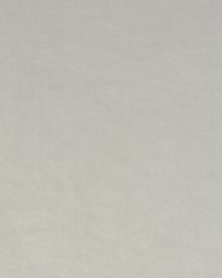 Vivoli Silver by  Richloom 