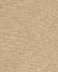 Voltaire Bamboo by  Richloom 