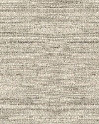 Voltaire Silver by  Richloom 