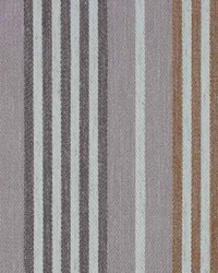 Warwick Bittersweet by  Richloom 