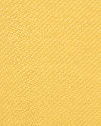 Pegasus Shine by  RM Coco 