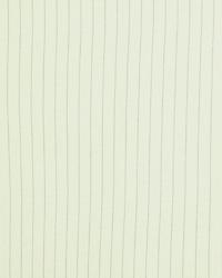 Aimee Stripe Aloe by   