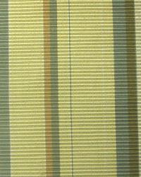 Allie Stripe Tarragon by   