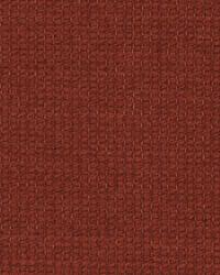 Cotton Loop Paprika by   