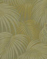 Flowing Palms Surf by   