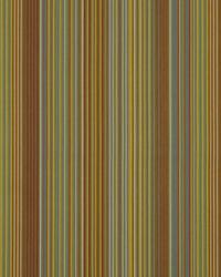 Freestyling Aquatic by   