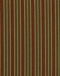 Full Stripe Pomegranate by   