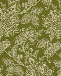 Garran Gardens Pesto by   