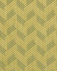 Lifted Look Citron by   