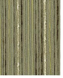 Los Canarios Kiwi by   