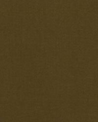 Lustre Sheen Sable by   