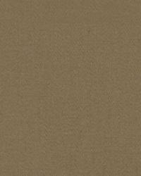 Lustre Sheen Teaberry by   