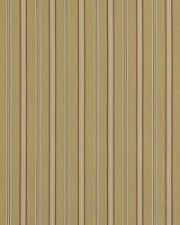 Rope Stripe Olive by   
