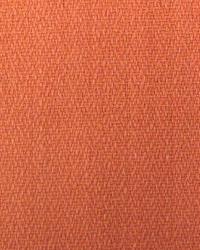 So Plain Zinnia by  Robert Allen 