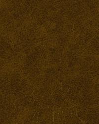 Soft and Shiny Antique by   