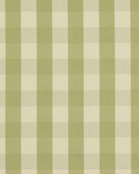 Spring Square Green Tea by   