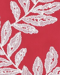 Bimini Watermelon by   