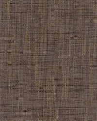 Burma Gunmetal by  Roth and Tompkins Textiles 