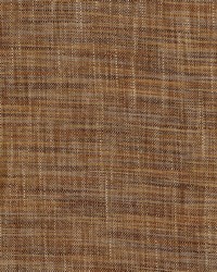 Burma Toffee by  Roth and Tompkins Textiles 