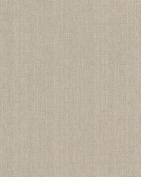 Carson Stone by  Roth and Tompkins Textiles 