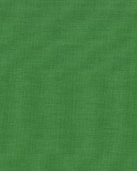 Clipper Kiwi by  Roth and Tompkins Textiles 