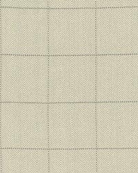 Copley Square Aloe by  Roth and Tompkins Textiles 