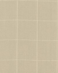 Copley Square Flint by  Roth and Tompkins Textiles 