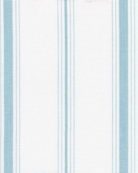 Fenwick Aqua by  Roth and Tompkins Textiles 