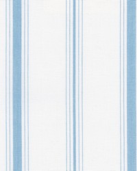 Fenwick Cornflower by  Roth and Tompkins Textiles 