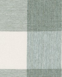 Fleetwood Fern by  Roth and Tompkins Textiles 