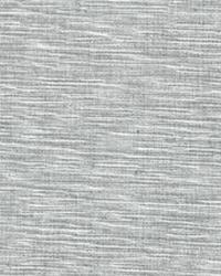 Grasscloth D3088 pewter by   
